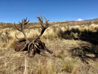 Embrace the Journey: Red Stag Patagonia and the Gratifying Rewards for Athletes