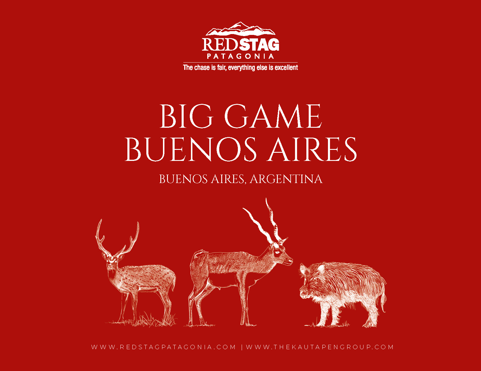 Red Stag Patagonia: Logo Big Game Buenos Aires