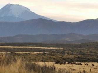 Explore the untamed wilderness of Red Stag Patagonia's natural environment, where adventure and wonder await