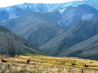 Discover the rich biodiversity and stunning vistas of Red Stag Patagonia's natural environment, a haven for outdoor enthusiasts