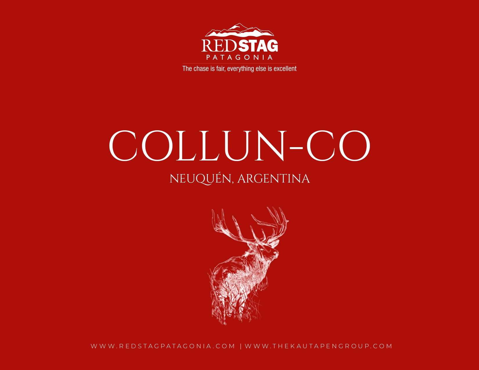 Collun-Co | Red Stag Patagonia