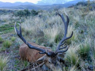 Savoring the fruits of a triumphant day's endeavors at Red Stag Patagonia.