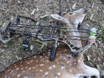 Deer next to tools to be used in Red Stag Patagonia