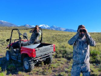 Radiant views of Red Stag Patagonia's nature