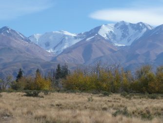 Step into the embrace of Red Stag Patagonia's natural environment, where majestic landscapes and abundant wildlife abound