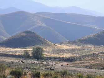 Embrace the raw beauty of Red Stag Patagonia's natural environment, where every step reveals a new wonder