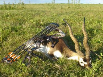 Big Game Buenos Aires: Witness the Serene Beauty of an Antelope