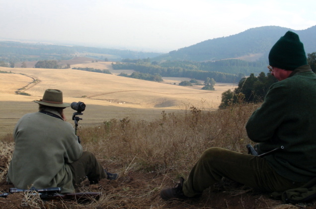 Thrilling Wilderness Pursuits: Red Stage Chile and the Passionate Expedition of Men in Search of Hunting Glory.