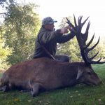 Red Stag Chile, Central Valley, Patagonia, Chile