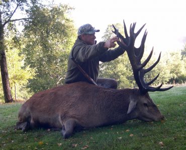 Red Stag Chile, Central Valley, Patagonia, Chile