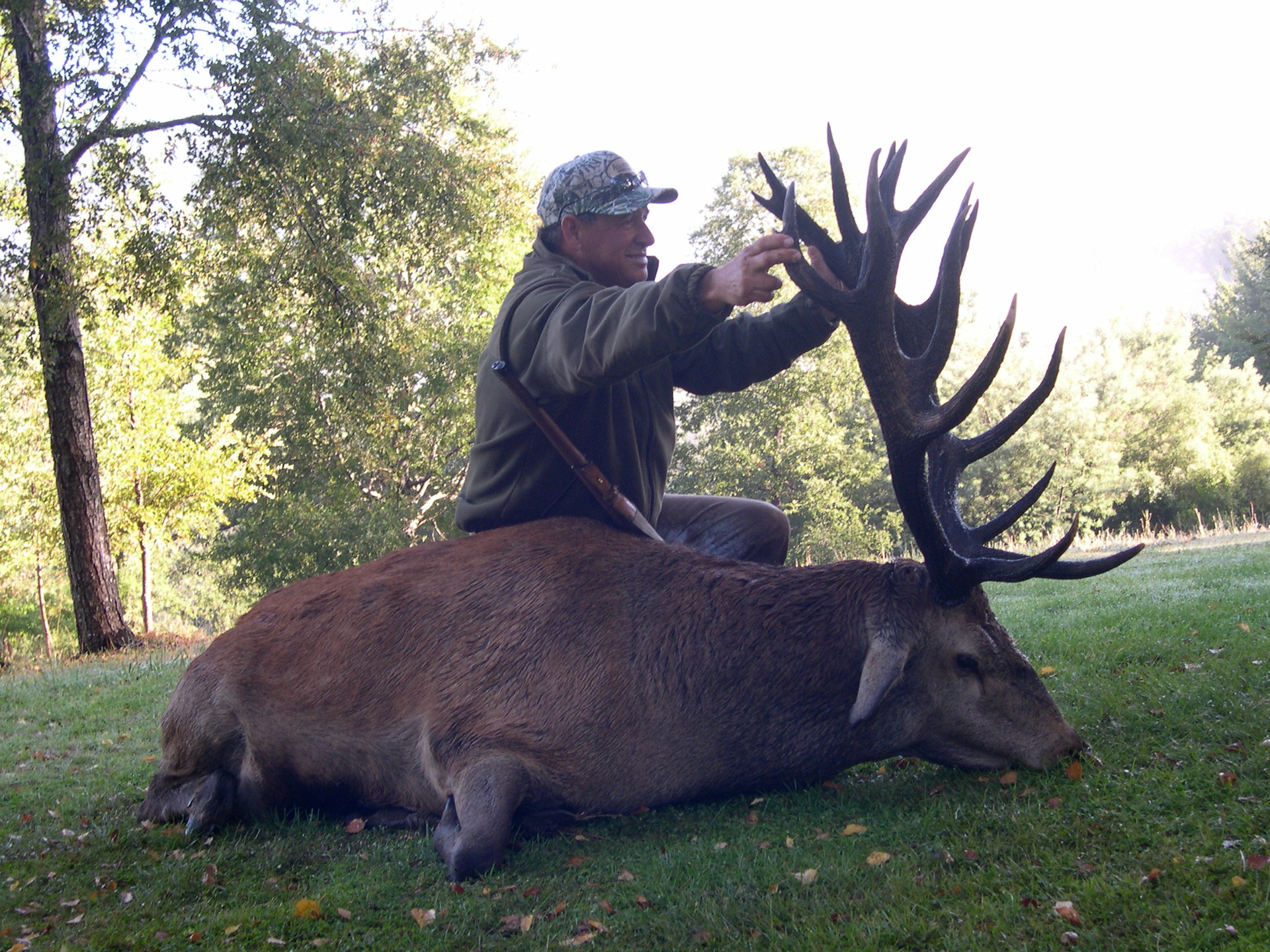 Red Stag Chile, Central Valley, Patagonia, Chile