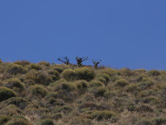 Experience the untamed wilderness of Red Stag Patagonia's natural environment, a haven for outdoor enthusiasts seeking adventure and connection with nature
