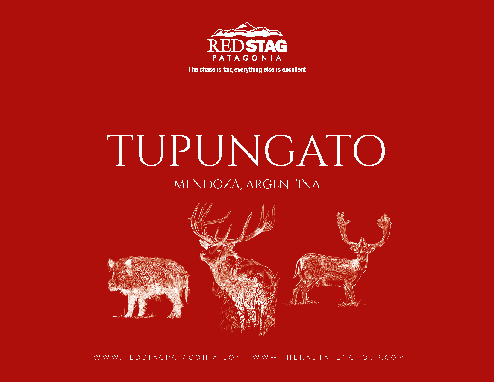 Tupungato Brochure