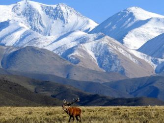 Breathtaking scenery in Red Stag Patagonia