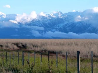 Engage with the pristine natural environment at Red Stag Patagonia, where conservation and appreciation coexist