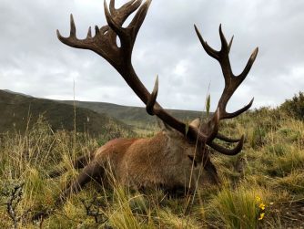 Experience Excellence: Red Stag Patagonia Sets the Standard for Athlete Adventures.