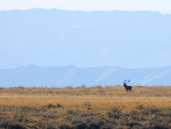 Breath-taking natural beauty in Red Stag Patagonia