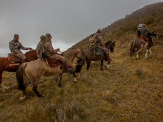 Embark on an extraordinary journey in Red Stag Patagonia
