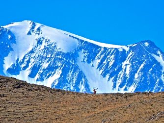 Embark on a journey through the unspoiled natural environment of Red Stag Patagonia, where untouched beauty reigns supreme