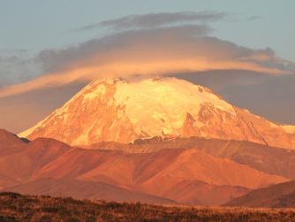 Step into the unexplored realms of Red Stag Patagonia's natural environment, where untouched beauty reveals its secrets