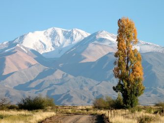 Discover the pristine natural environment of Red Stag Patagonia, where untouched beauty and serenity converge