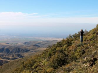 A few stags roaring in Tupungato