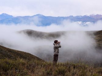 Captivating beauty of the outdoors