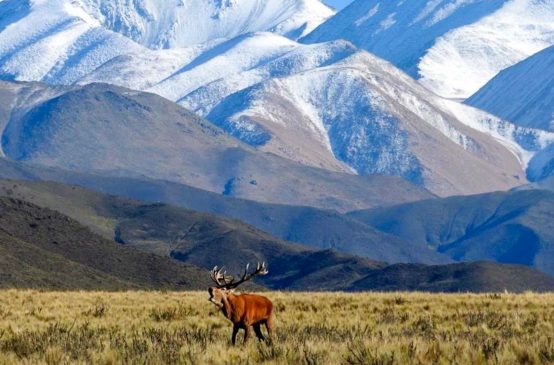 Discover the majestic mountains of Red Stag Patagonia, an ideal starting point for your thrilling adventure
